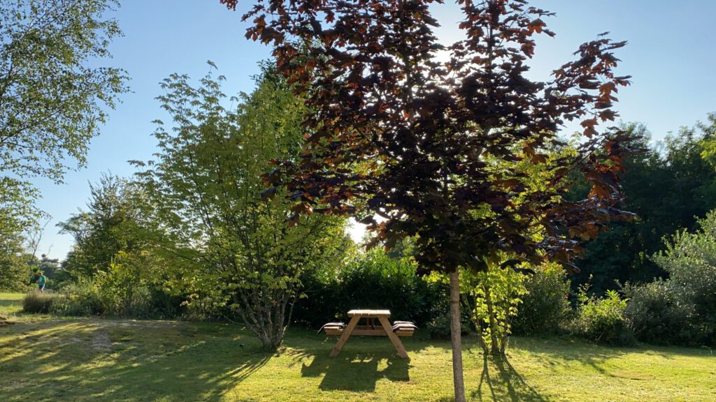 Ruime zonnige privé tuin