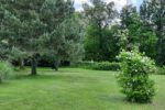 Vakantiehuis Magnolia 187 ruimtelijke groene tuin