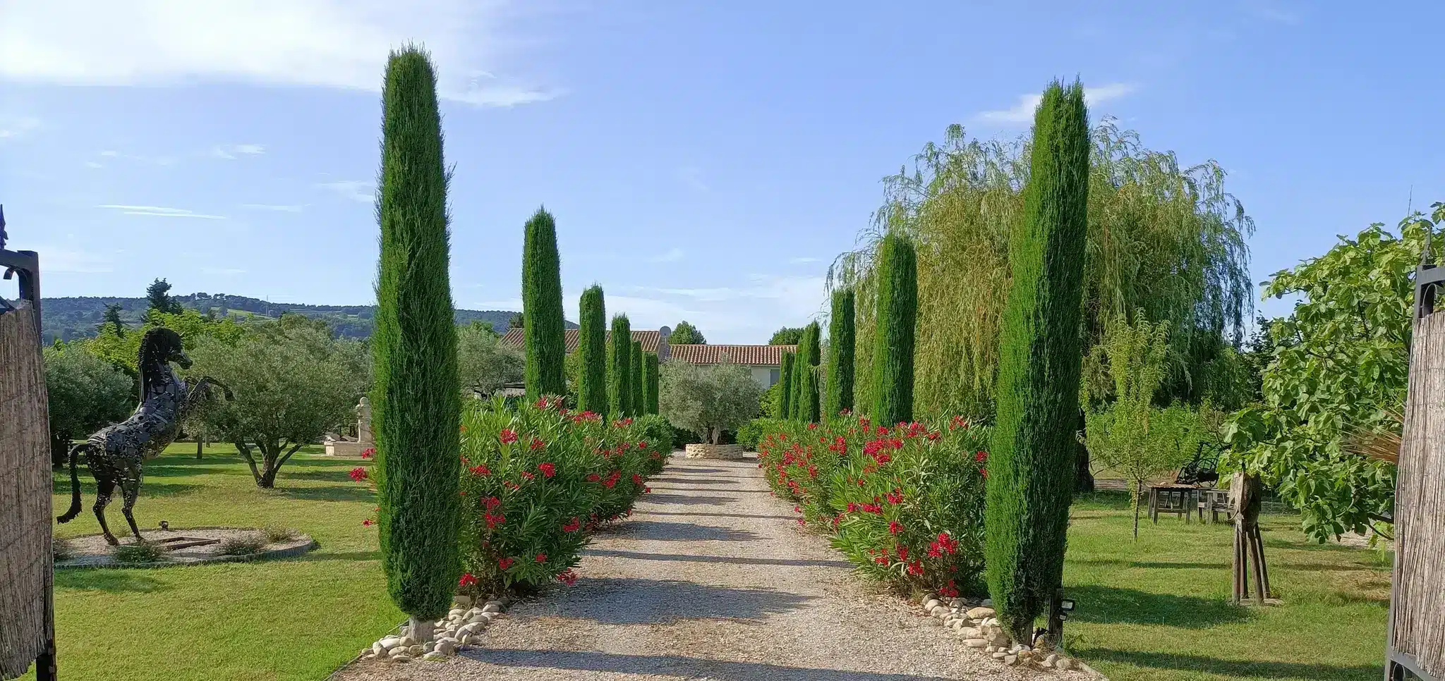 Oprijlaan boederij vakantiehuis Provence Frankrijk