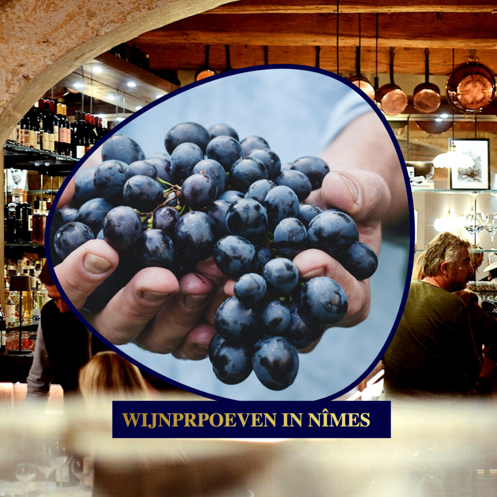 Vakantie in de Gard Frankrijk Wijnproeven in Nimes