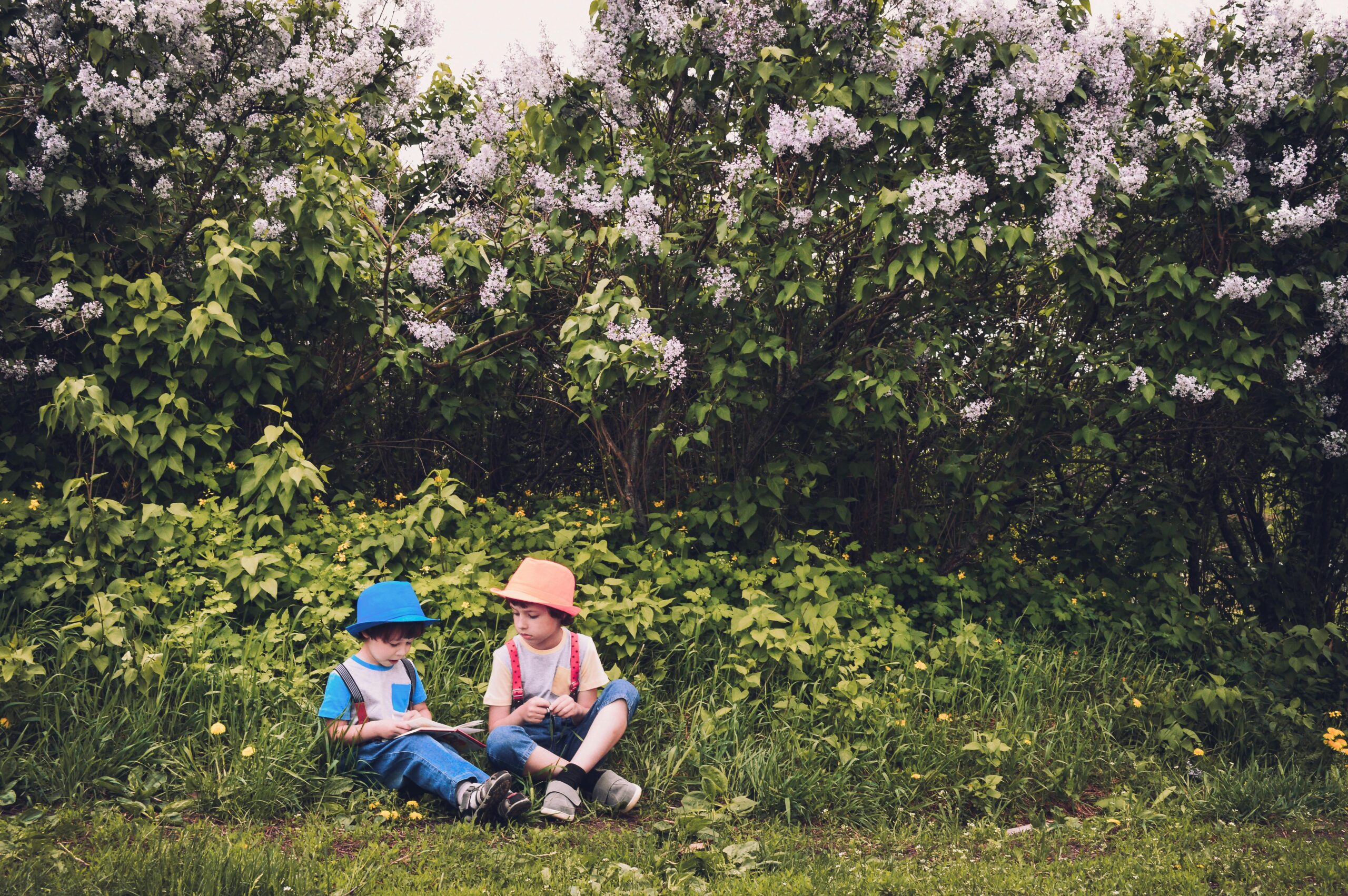 Genieten zonder zorgen vakantie met kinderen vakantiehuis omheinde tuin